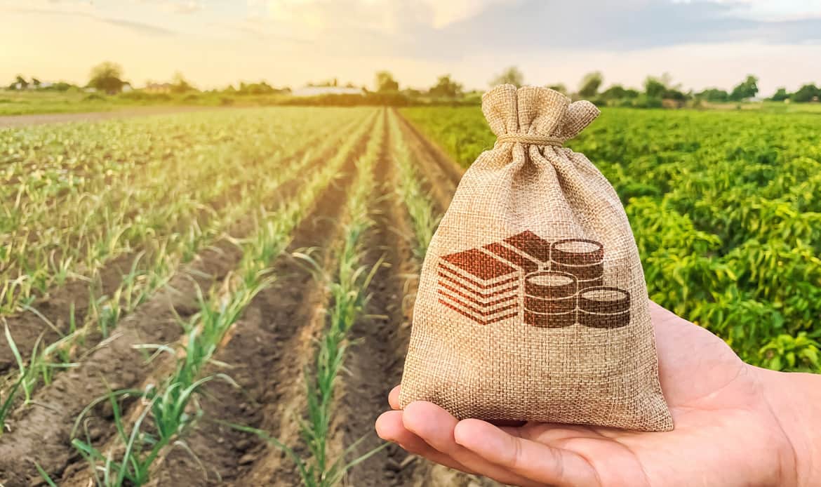 Grow your farm with Lendiz agricultural financing support